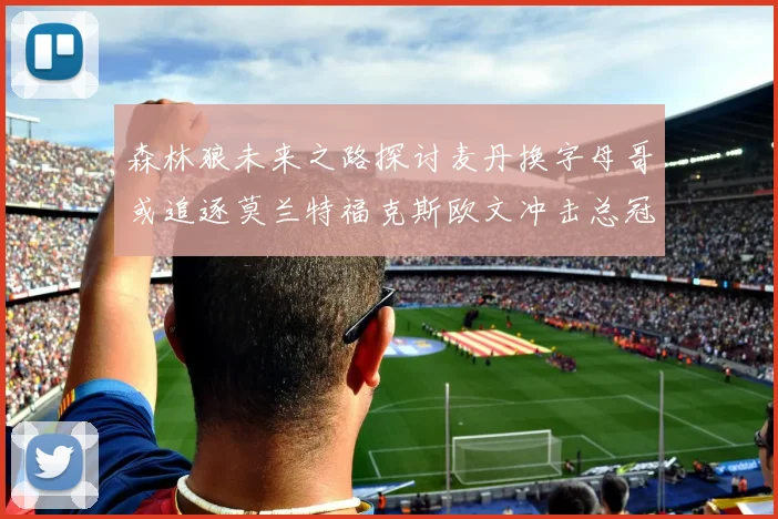 森林狼未来之路探讨麦丹换字母哥或追逐莫兰特福克斯欧文冲击总冠军